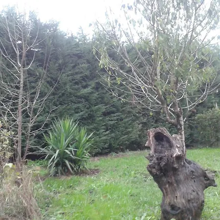 Murueta Baserria Abadiano Celayeta